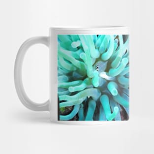 Green Sea Anemone and Squat Shrimp Mug